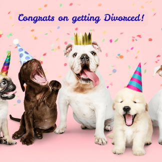 Congrats On Getting Divorced