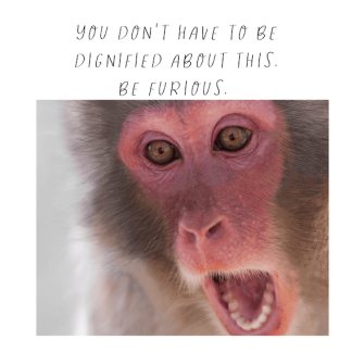You Don’t Have To Be Dignified