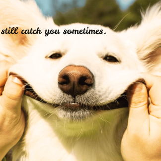It’ll Still Catch You Sometimes