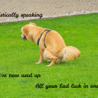 Statistically Speaking
