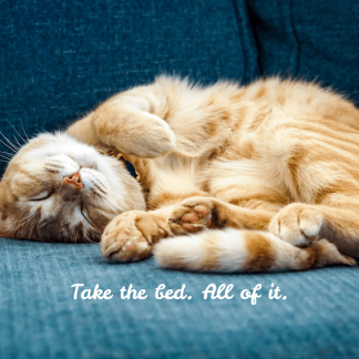 Take The Bed