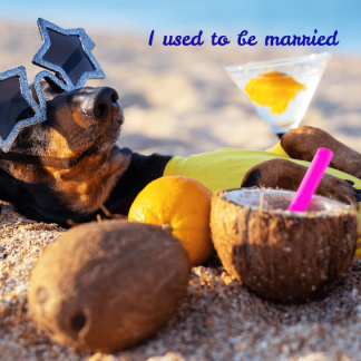 I Used To Be Married
