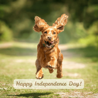 Happy Independence Day