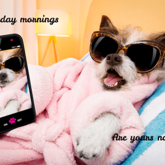 Sunday Mornings