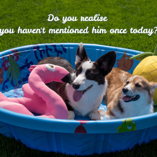 Do You Realise