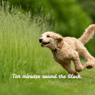 Ten Minutes Round The Block