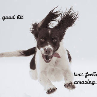 The Good Bit