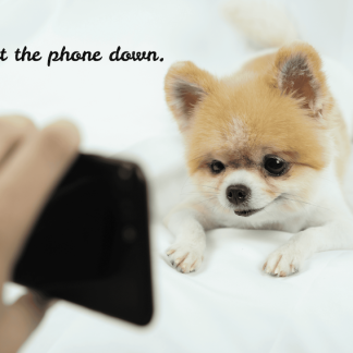 Put The Phone Down