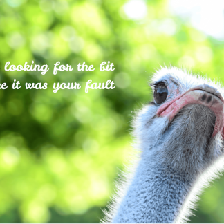 Stop Looking