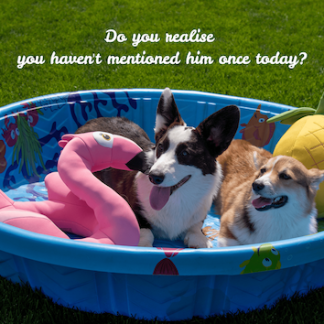 You Haven't Mentioned Him Once Today